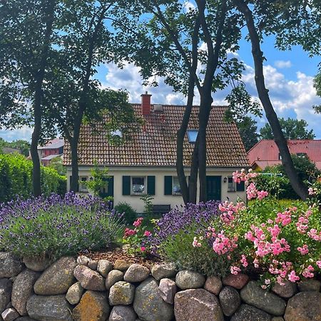 Ferienwohnung 1010 Mit Seeblick Ziemitz Esterno foto